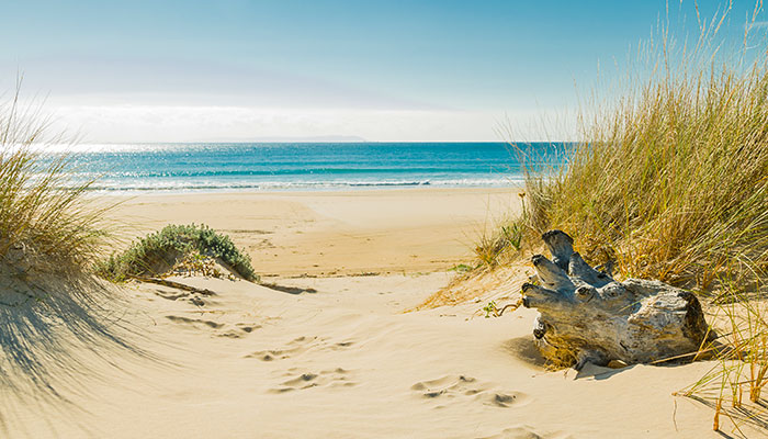 Arena de la playa de Bolonia