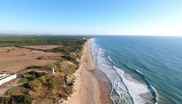 Playa de la Barrosa en Cádiz