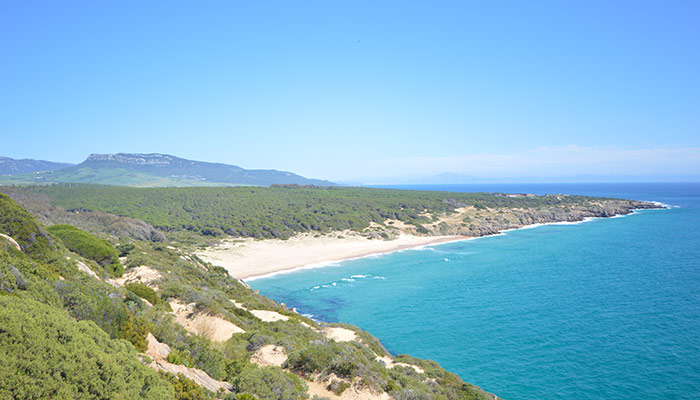 Playas de Cádiz