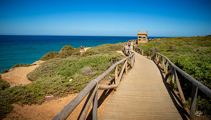 Vistas del mar desde el sendero de las calas de Conil